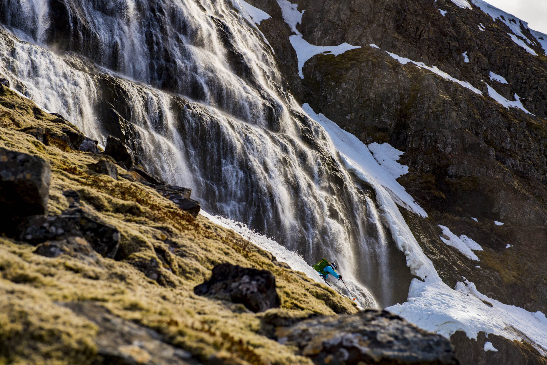 Schirf_DSC_2155